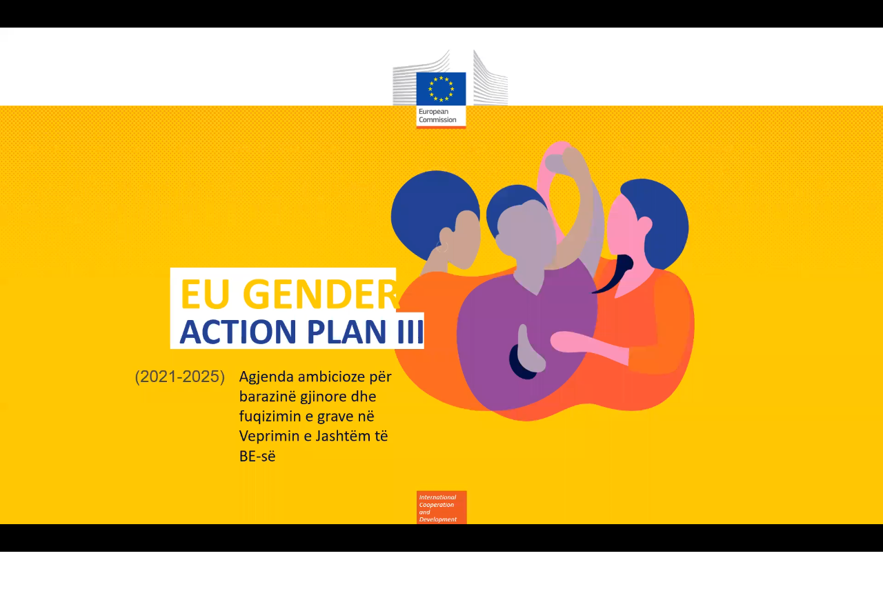 CSOs and Stakeholders Consulted on the “EU Gender Action Plan III and Kosovo* Country Level Implementation Plan”