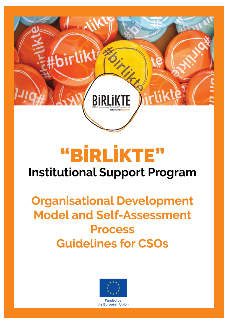 Transforming Civil Society Through the BİRLİKTE Organisational Development Model